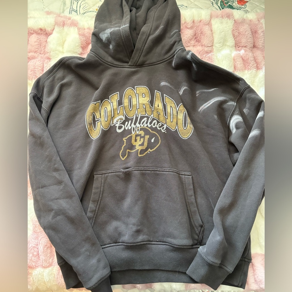 Hollister Gray Hoodie